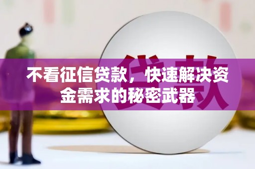 遂昌不看征信贷款，快速解决资金需求的秘密武器