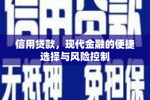 遂昌信用贷款，现代金融的便捷选择与风险控制