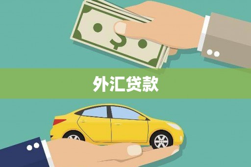 遂昌外汇贷款
