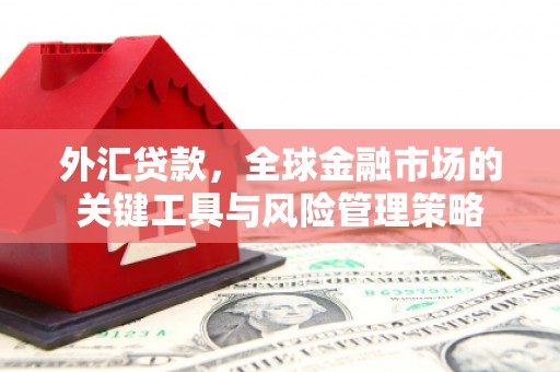 遂昌外汇贷款，全球金融市场的关键工具与风险管理策略