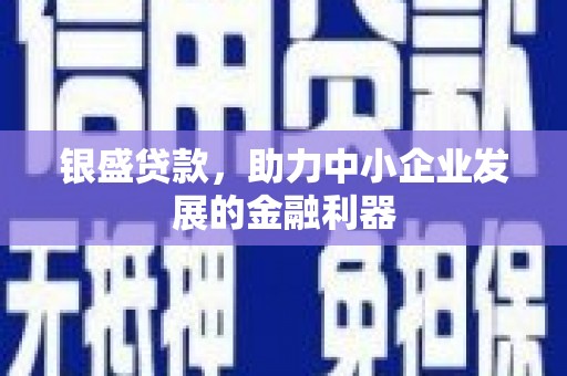 遂昌银盛贷款，助力中小企业发展的金融利器
