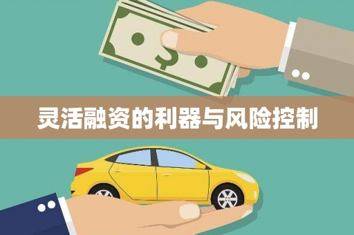 遂昌灵活融资的利器与风险控制
