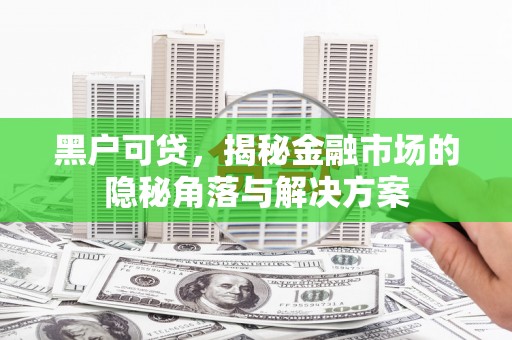 遂昌黑户可贷，揭秘金融市场的隐秘角落与解决方案