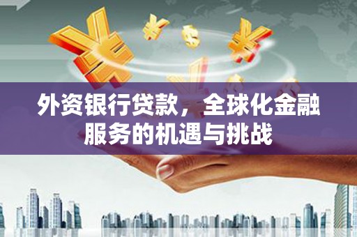 遂昌外资银行贷款，全球化金融服务的机遇与挑战