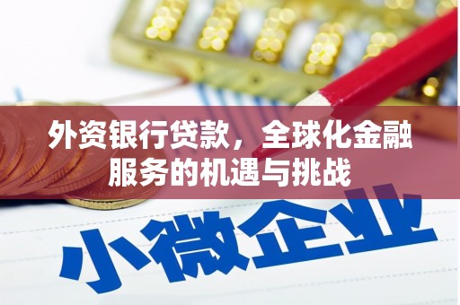 遂昌外资银行贷款，全球化金融服务的机遇与挑战
