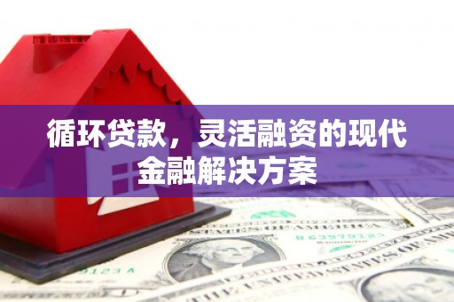遂昌循环贷款，灵活融资的现代金融解决方案