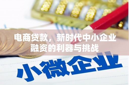 遂昌电商贷款，新时代中小企业融资的利器与挑战