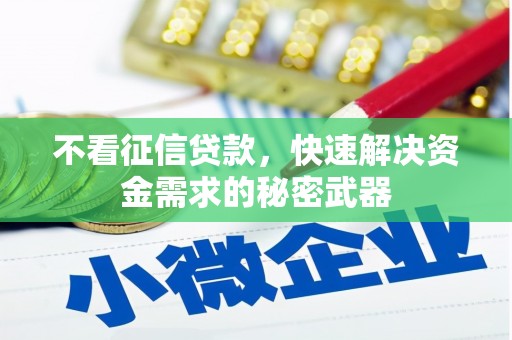 遂昌不看征信贷款，快速解决资金需求的秘密武器