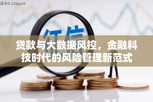遂昌贷款与大数据风控，金融科技时代的风险管理新范式