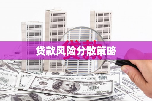遂昌贷款风险分散策略