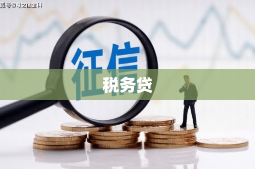 遂昌税务贷