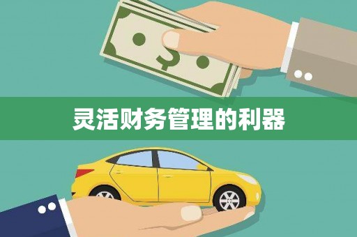 遂昌灵活财务管理的利器