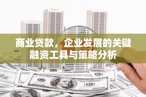 遂昌商业贷款，企业发展的关键融资工具与策略分析