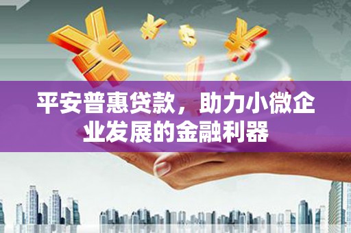 遂昌平安普惠贷款，助力小微企业发展的金融利器