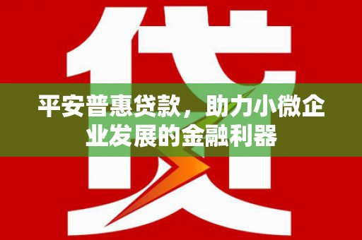 遂昌平安普惠贷款，助力小微企业发展的金融利器