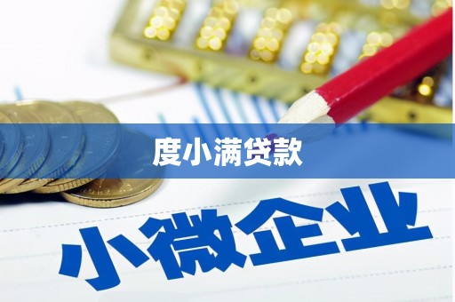 遂昌度小满贷款