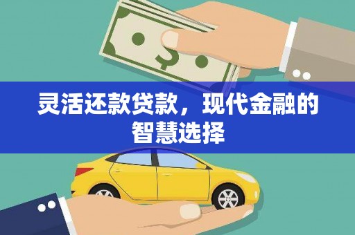 遂昌灵活还款贷款，现代金融的智慧选择