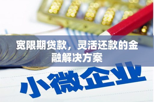 遂昌宽限期贷款，灵活还款的金融解决方案