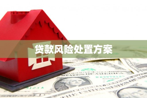 遂昌贷款风险处置方案