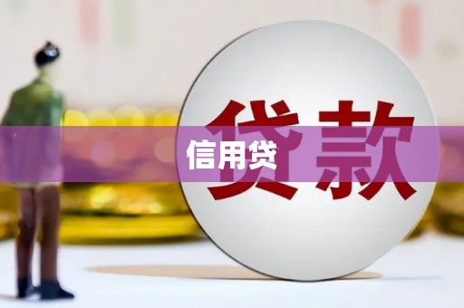 遂昌信用贷