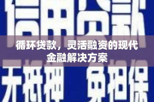 遂昌循环贷款，灵活融资的现代金融解决方案