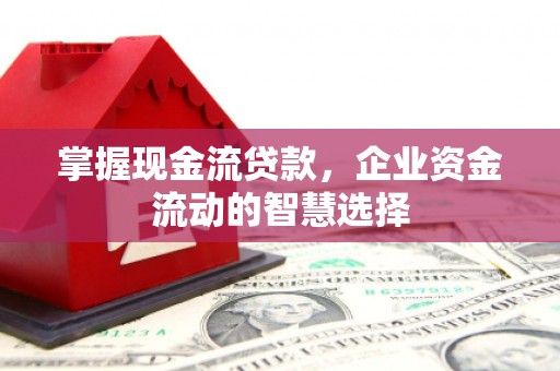 遂昌掌握现金流贷款，企业资金流动的智慧选择