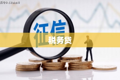 遂昌税务贷