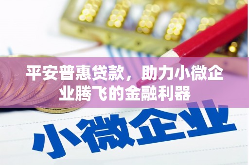 遂昌平安普惠贷款，助力小微企业腾飞的金融利器
