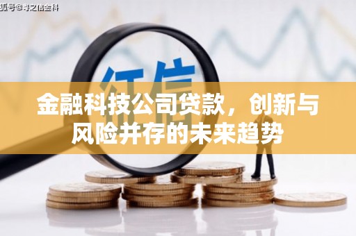 遂昌金融科技公司贷款，创新与风险并存的未来趋势