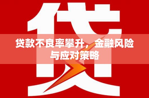 遂昌贷款不良率攀升，金融风险与应对策略