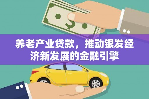 遂昌养老产业贷款，推动银发经济新发展的金融引擎