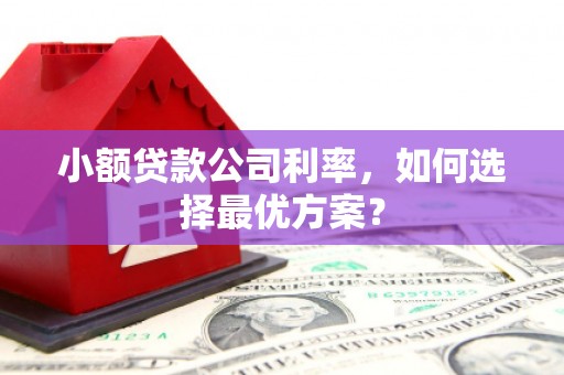 遂昌小额贷款公司利率，如何选择最优方案？