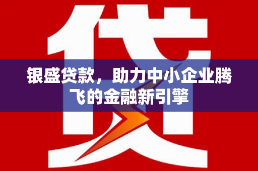 遂昌银盛贷款，助力中小企业腾飞的金融新引擎