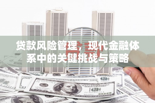 遂昌贷款风险管理，现代金融体系中的关键挑战与策略