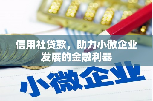 遂昌信用社贷款，助力小微企业发展的金融利器