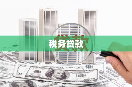 遂昌税务贷款