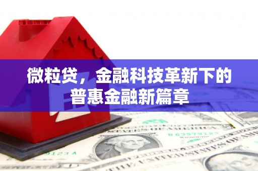 遂昌微粒贷，金融科技革新下的普惠金融新篇章