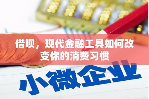 遂昌借呗，现代金融工具如何改变你的消费习惯