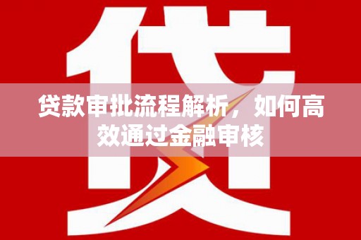 遂昌贷款审批流程解析，如何高效通过金融审核