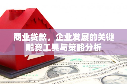 遂昌商业贷款，企业发展的关键融资工具与策略分析