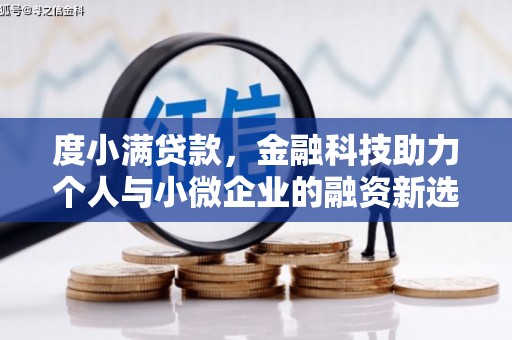 遂昌度小满贷款，金融科技助力个人与小微企业的融资新选择