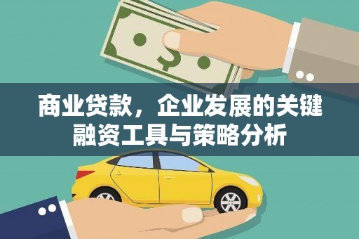 遂昌商业贷款，企业发展的关键融资工具与策略分析