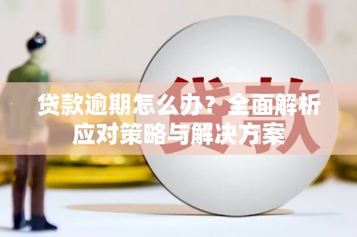 遂昌贷款逾期怎么办？全面解析应对策略与解决方案
