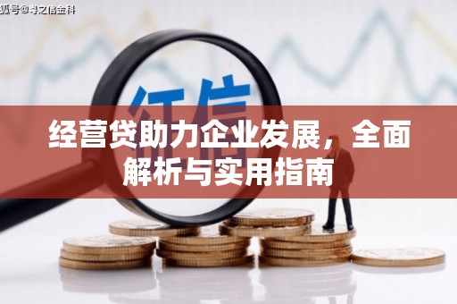 遂昌经营贷助力企业发展，全面解析与实用指南