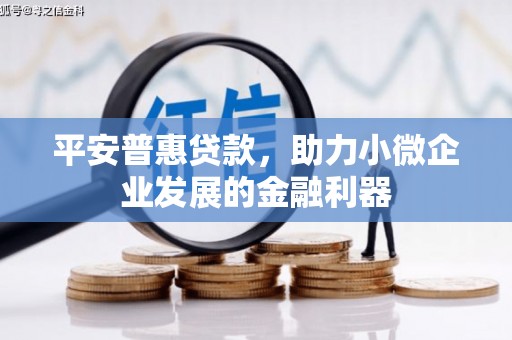 遂昌平安普惠贷款，助力小微企业发展的金融利器
