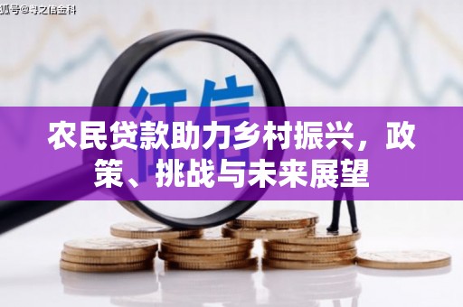 遂昌农民贷款助力乡村振兴，政策、挑战与未来展望