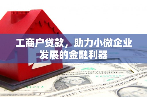 遂昌工商户贷款，助力小微企业发展的金融利器