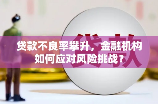 遂昌贷款不良率攀升，金融机构如何应对风险挑战？