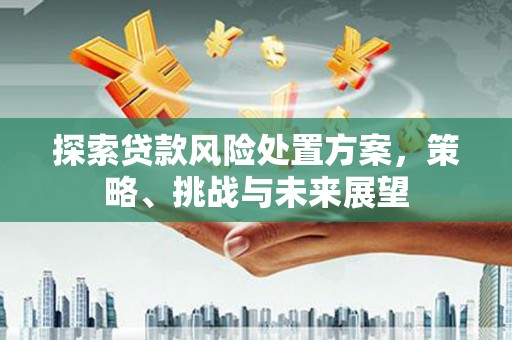 遂昌探索贷款风险处置方案，策略、挑战与未来展望