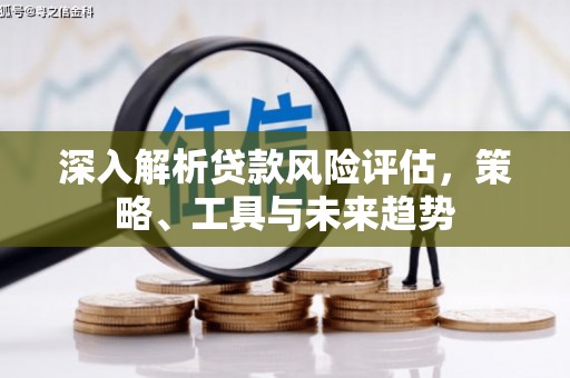 遂昌深入解析贷款风险评估，策略、工具与未来趋势